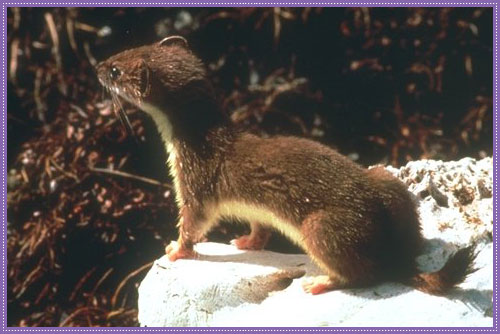AlaskaKids AlaskaKids
